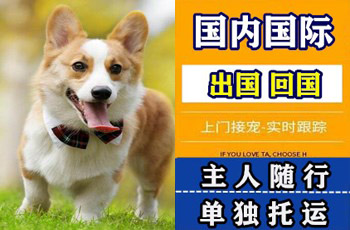 甘孜州宠物托运公司甘孜州宠物托运公司甘孜州宠物托运公司