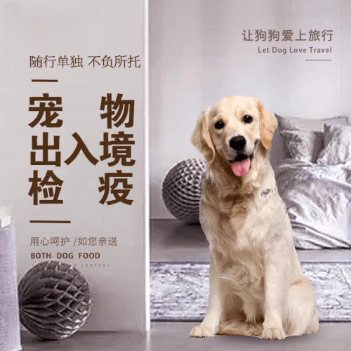 甘孜州宠物托运到哥伦比亚猫狗宠物入境规定和