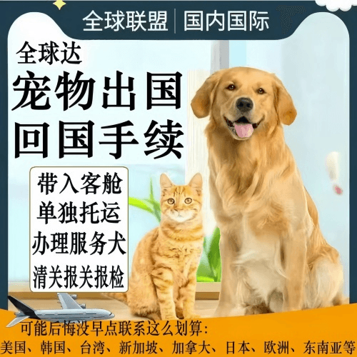 甘孜州宠物托运到柬埔寨宠物入境规定和要求