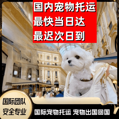 甘孜州到澳大利亚（澳洲）宠物入境规定和要求