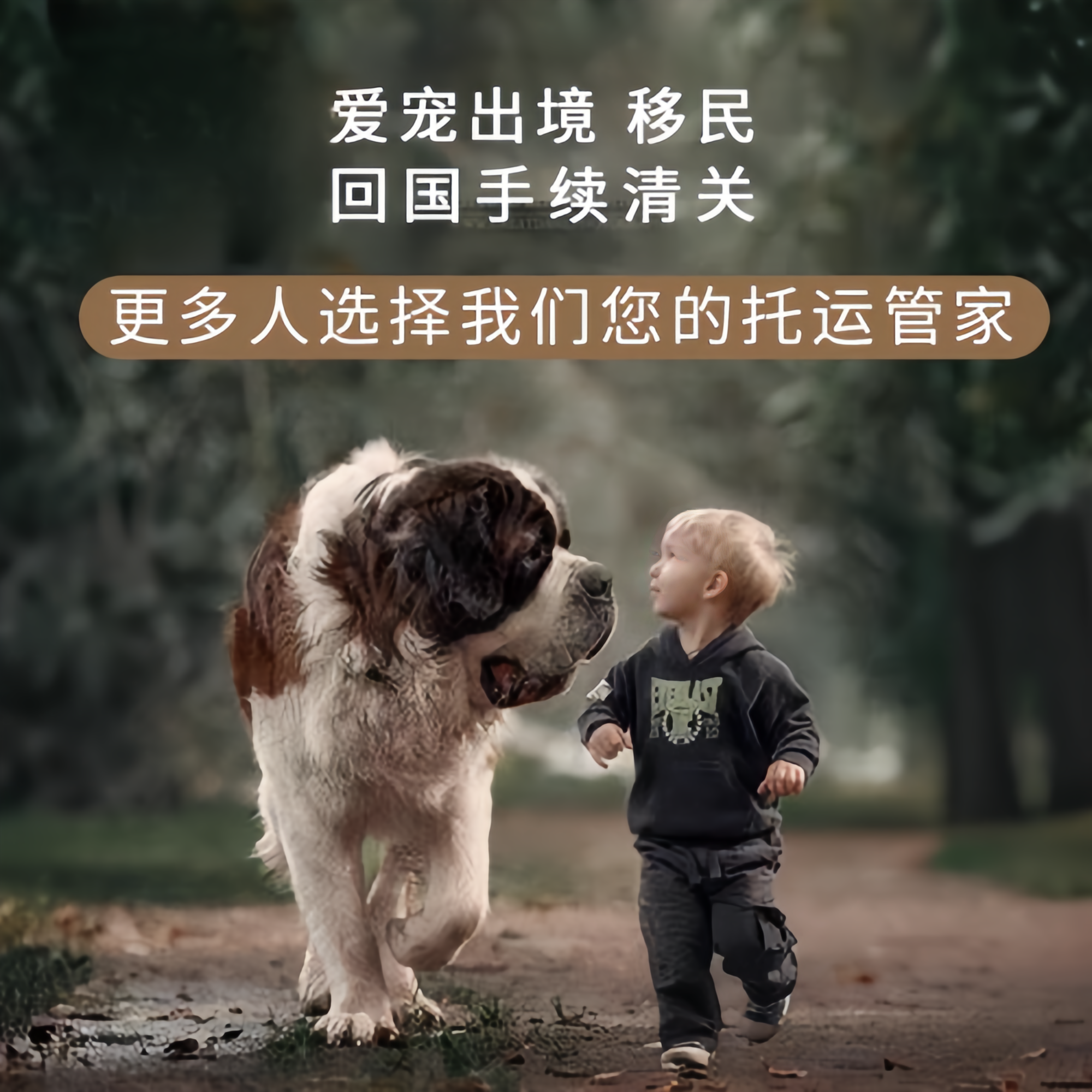 满财甘孜州宠物全球达宠物托运在遵守入境目的地政策的条件