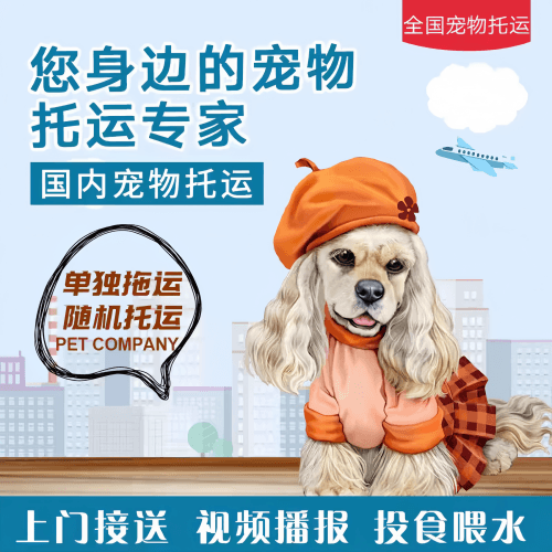 满财甘孜州宠物全球达宠物托运作为专业的宠物运输代理机构